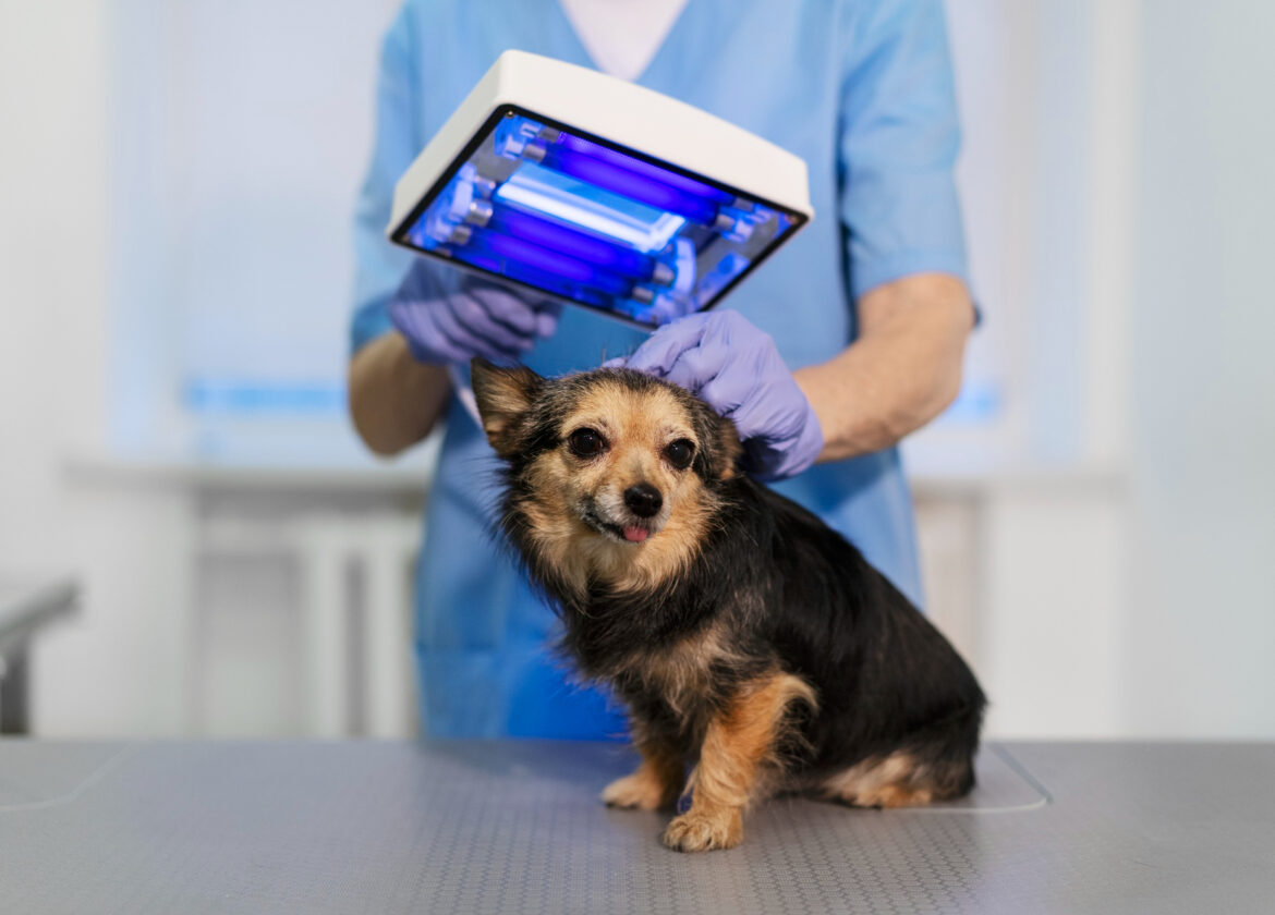 El Futuro de la Tecnología en la Gestión de la Salud Animal